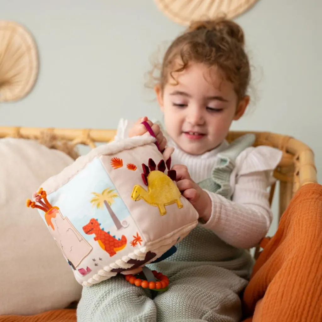 Best Cube d'éveil Les Amis Dinos Balle / Cube D'Activités