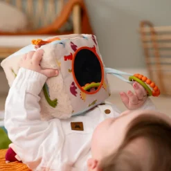 Best Cube d'éveil Les Amis Dinos Balle / Cube D'Activités