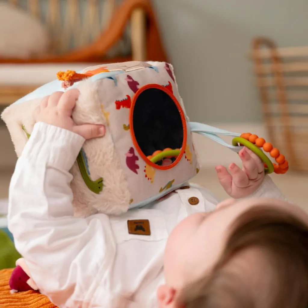 Best Cube d'éveil Les Amis Dinos Balle / Cube D'Activités