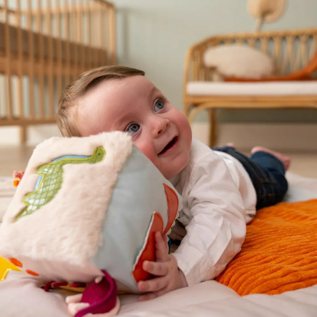 Best Cube d'éveil Les Amis Dinos Balle / Cube D'Activités