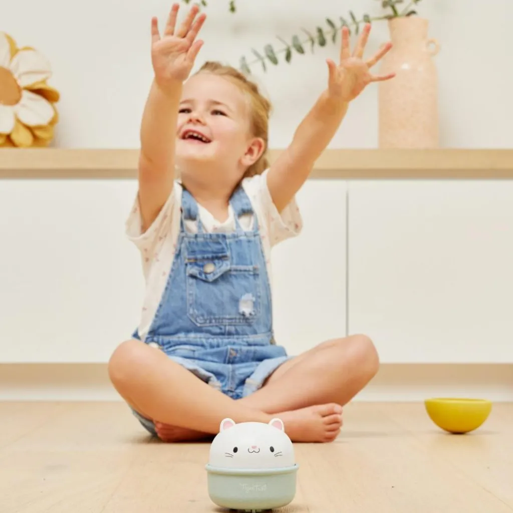 Culbuto et animal à friction chat Culbuto