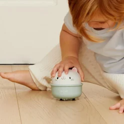 Culbuto et animal à friction chat Culbuto