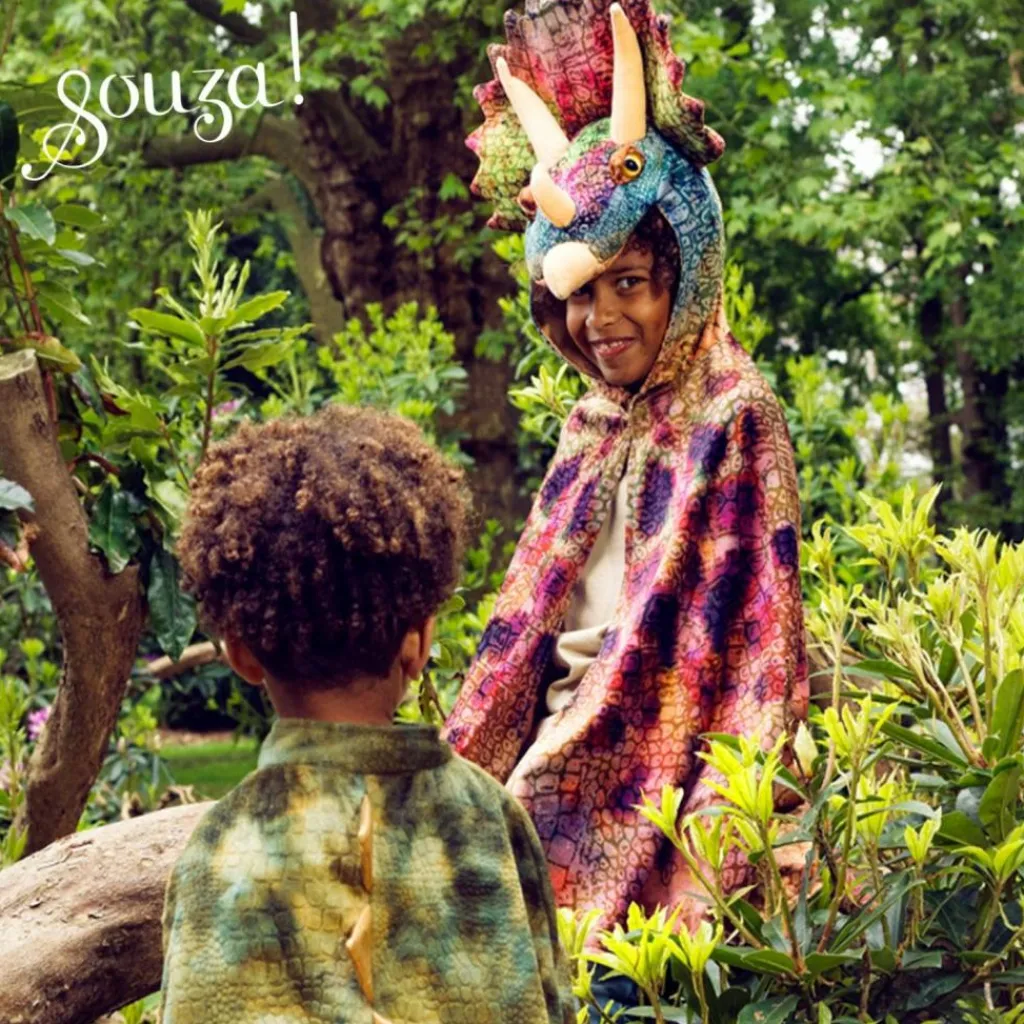 New Déguisement cape dinosaure (4-7 ans) Enfant Déguisement Enfant