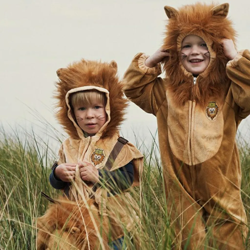 Déguisement de lion (2 ans) Enfant Déguisement Enfant