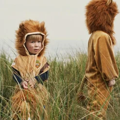 Déguisement de lion (2 ans) Enfant Déguisement Enfant