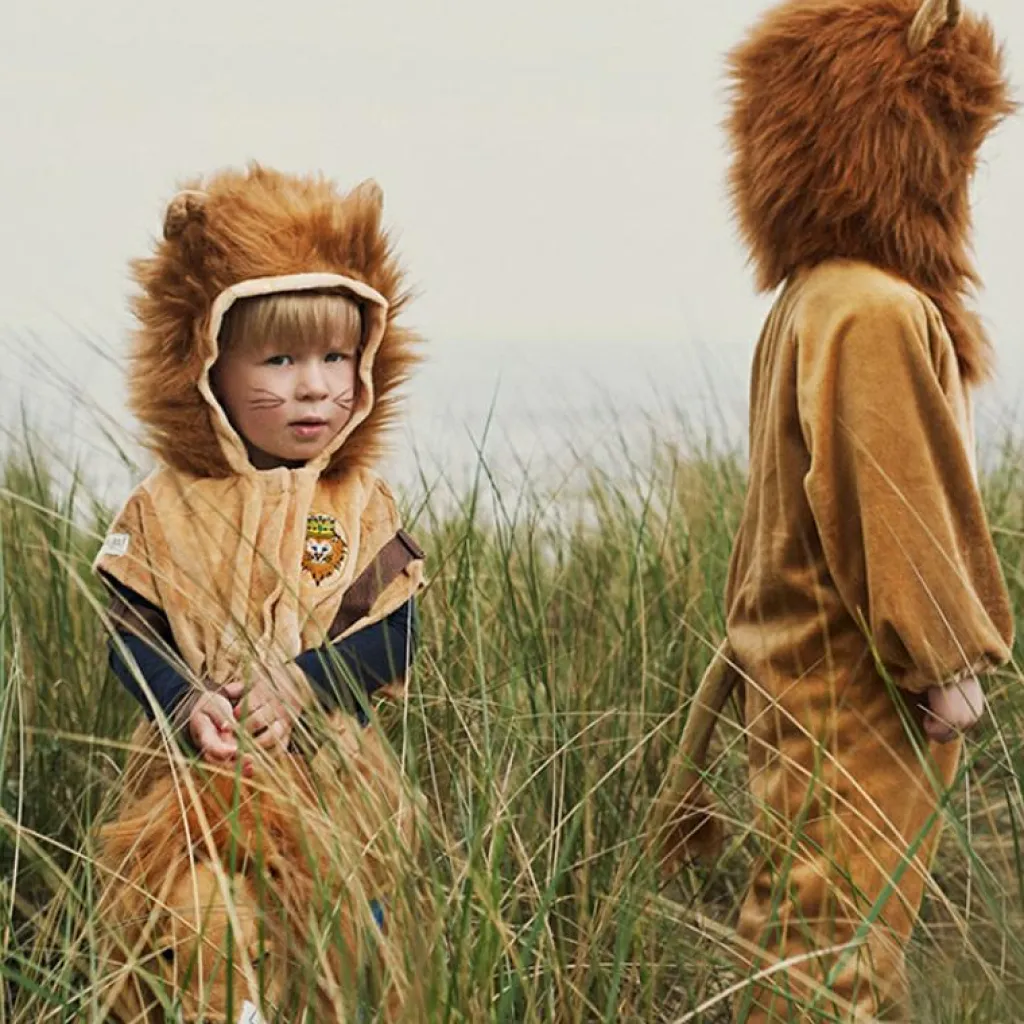 Déguisement de lion (2 ans) Enfant Déguisement Enfant