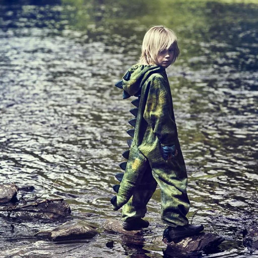 Online Déguisement dinosaure (5-6 ans) Enfant Déguisement Enfant