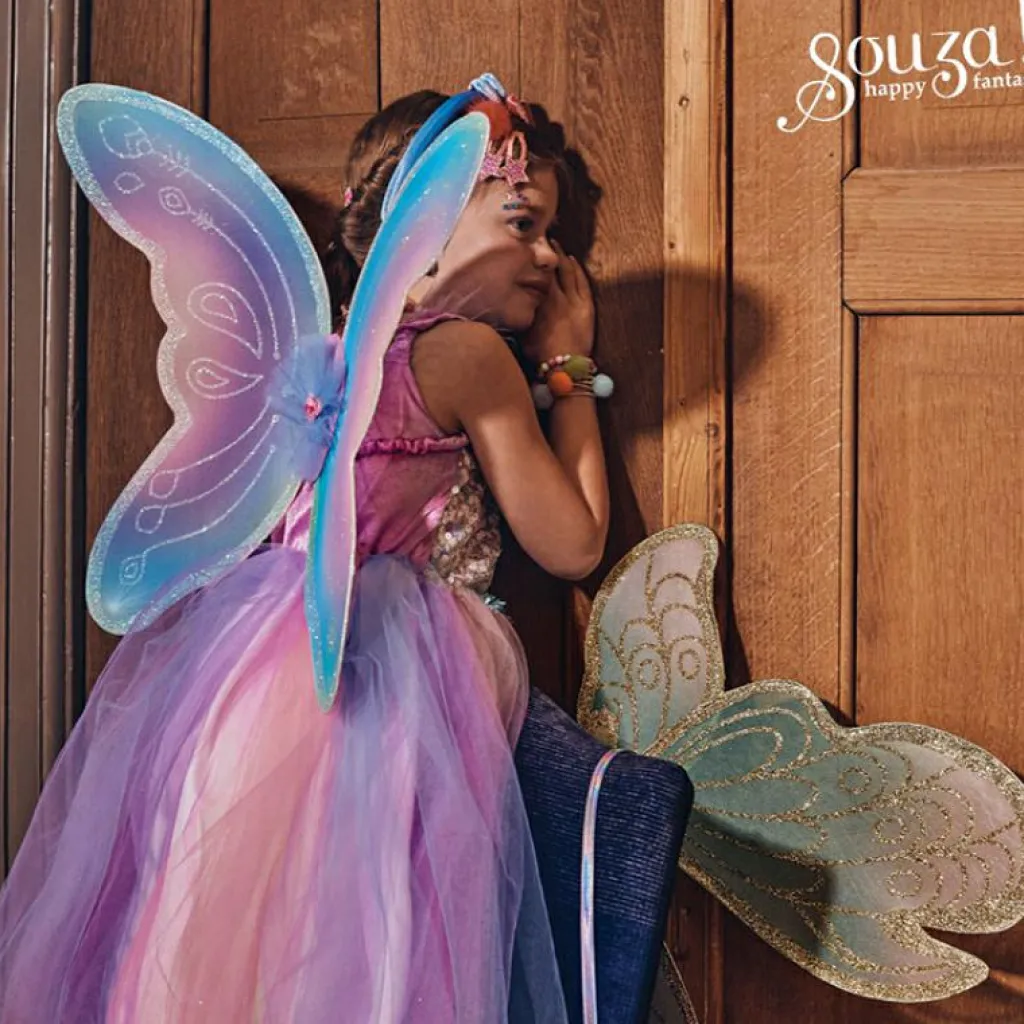 Clearance Déguisement fée Felicity (5-7 ans) Enfant Déguisement Enfant