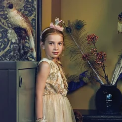 Outlet Déguisement princesse Noraline (5-7 ans) Enfant Déguisement Enfant