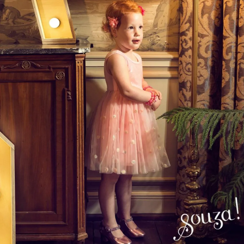 Déguisement Roselyne robe (2 ans) Enfant Déguisement Enfant