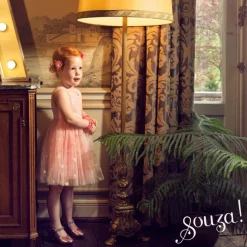 Déguisement Roselyne robe (2 ans) Enfant Déguisement Enfant