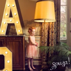 Déguisement Roselyne robe (2 ans) Enfant Déguisement Enfant