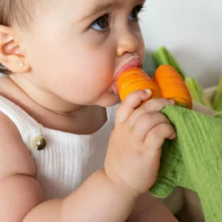 New Doudou de dentition 2 en 1 Cathy la carotte Doudou Plat