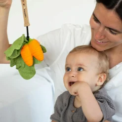 New Doudou de dentition 2 en 1 Cathy la carotte Doudou Plat