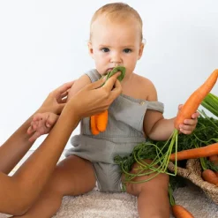 New Doudou de dentition 2 en 1 Cathy la carotte Doudou Plat