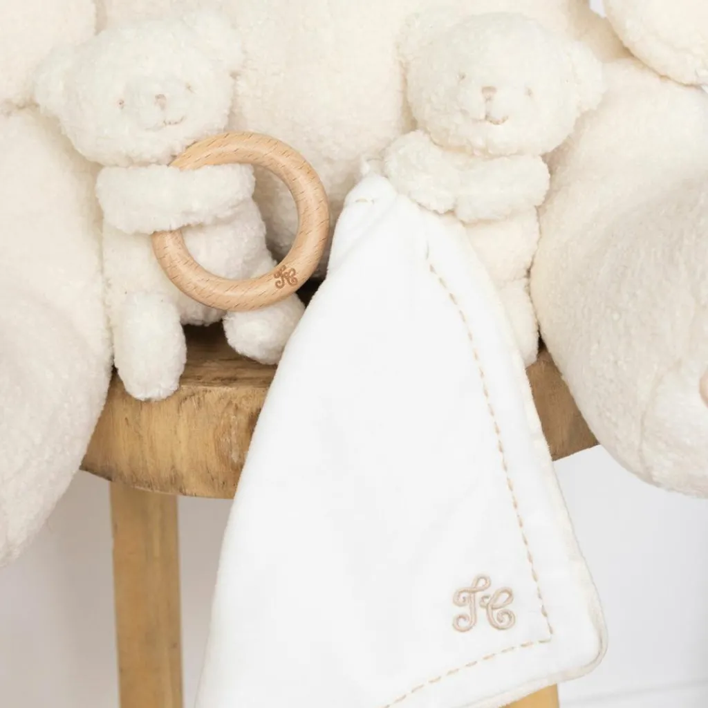 Best Doudou Gaston l'ourson Doudou Plat