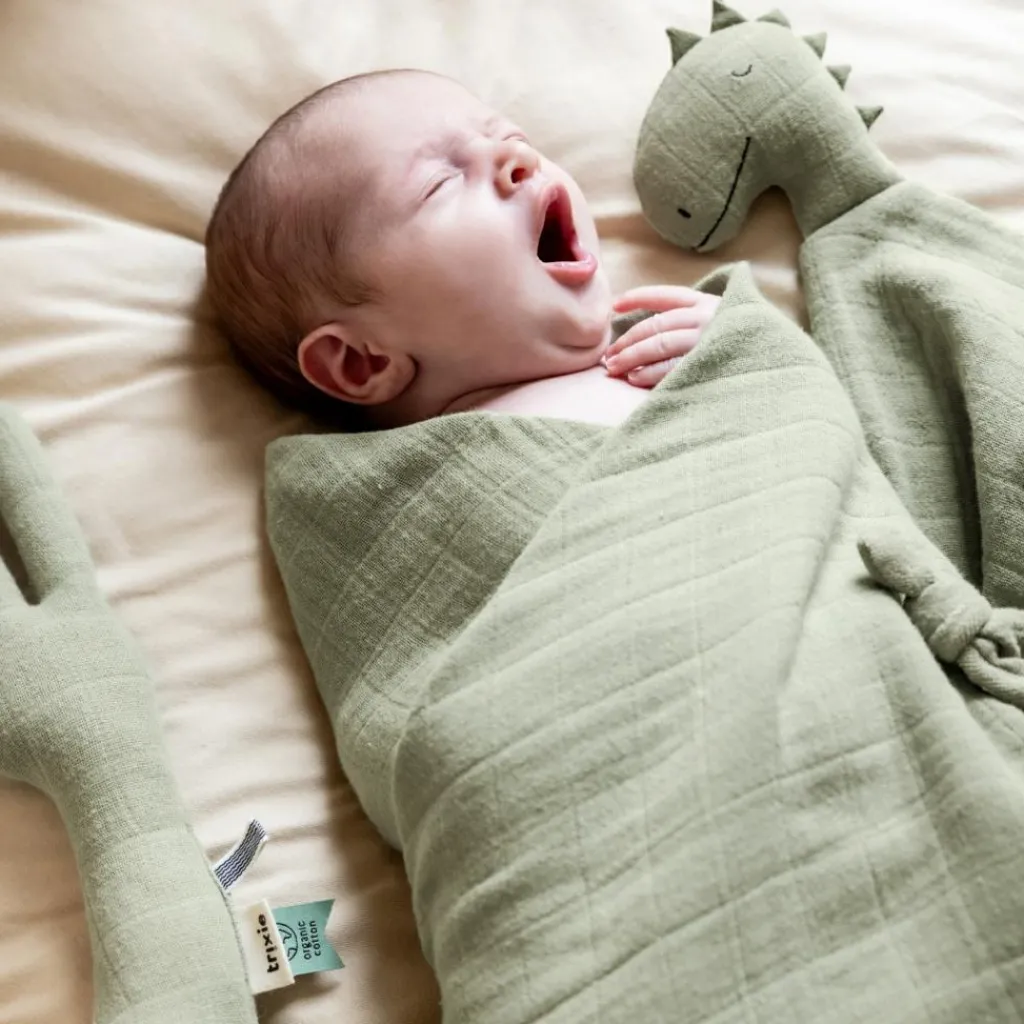 Doudou plat Bliss Sage Mr. Dino Doudou Plat