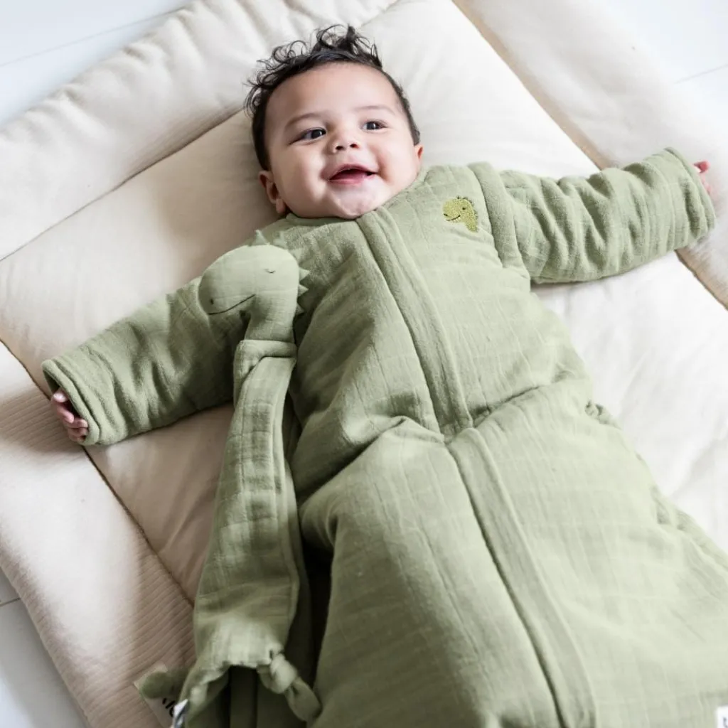 Doudou plat Bliss Sage Mr. Dino Doudou Plat