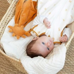 New Doudou plat Diplododo Doudou Plat