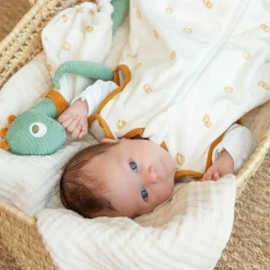 Sale Doudou plat Diplododo (34 cm) Doudou Plat