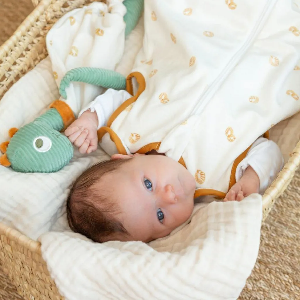 Sale Doudou plat Diplododo (34 cm) Doudou Plat