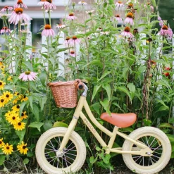 Clearance Draisienne First Go crème Draisienne