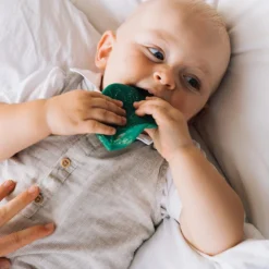 Hot Feuille de Chlorophylle jouet de dentition Jouet / Anneau De Dentition