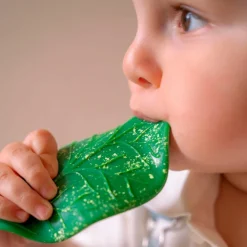 Hot Feuille de Chlorophylle jouet de dentition Jouet / Anneau De Dentition