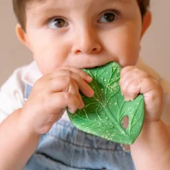 Hot Feuille de Chlorophylle jouet de dentition Jouet / Anneau De Dentition