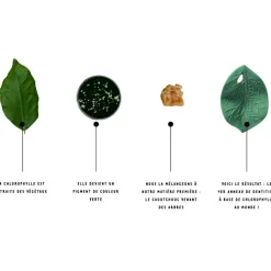 Hot Feuille de Chlorophylle jouet de dentition Jouet / Anneau De Dentition