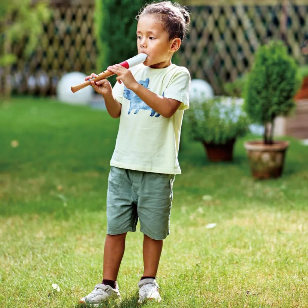 Outlet Flûte à bec débutant Instrument De Musique