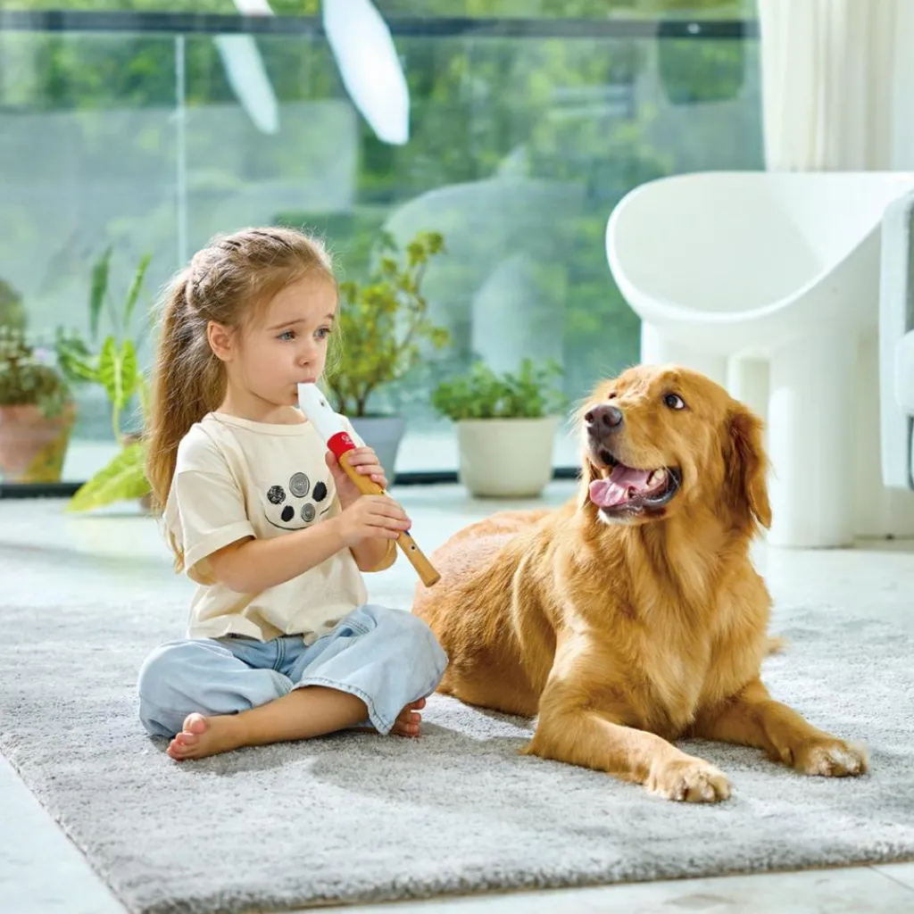 Outlet Flûte à bec débutant Instrument De Musique