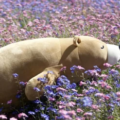 Best Grande peluche Nemu Nemu Cookie Ours brun (53 cm) Peluche Moyenne (20-59 Cm)