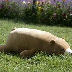 Best Grande peluche Nemu Nemu Cookie Ours brun (53 cm) Peluche Moyenne (20-59 Cm)