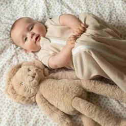 Clearance Grande peluche Tam Tam Lion (60 cm) Grande Peluche (60 Cm Et +)