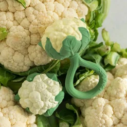 Hot Hochet anneau de dentition 2 en 1 chou-fleur Jouet / Anneau De Dentition