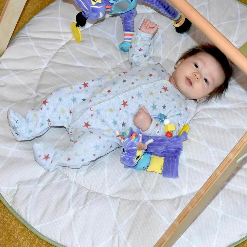 Hot Hochet d'activités Kiprokos le zèbre Hochet