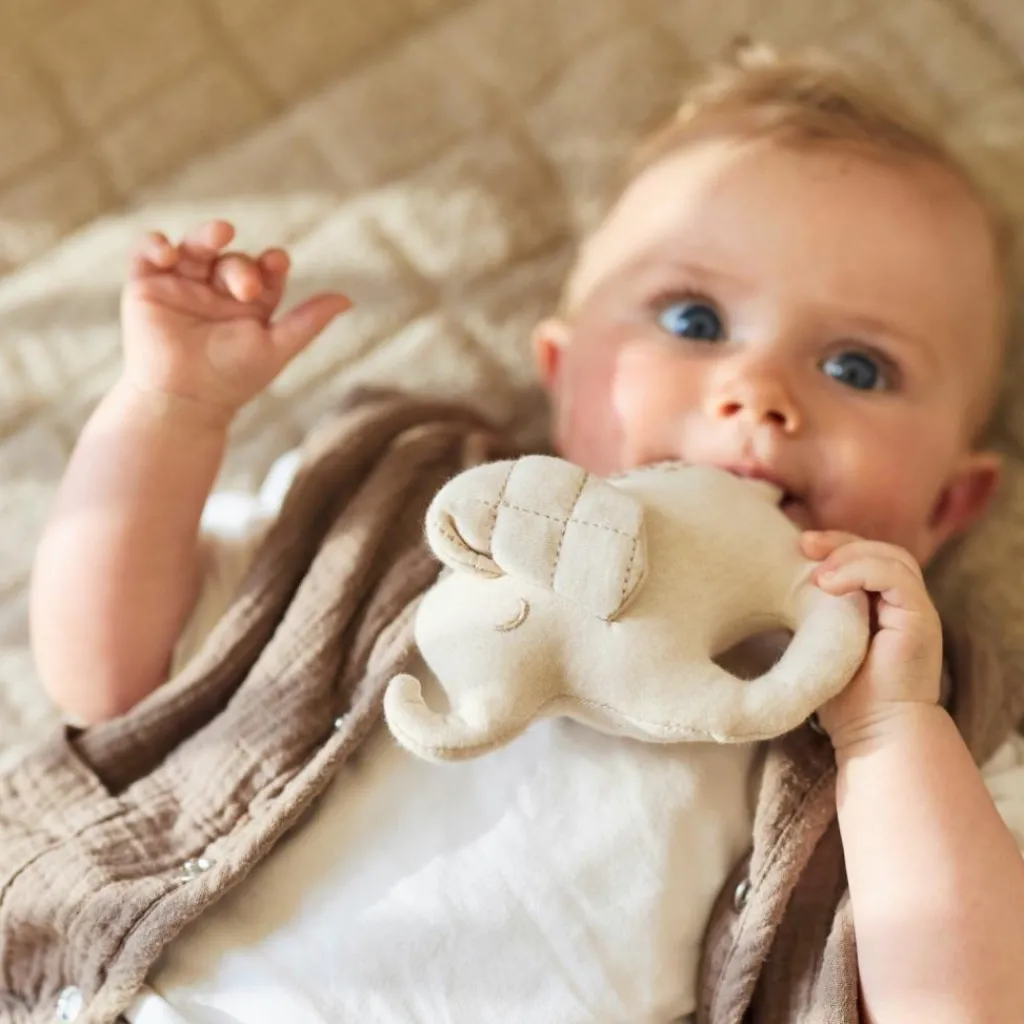 Hot Hochet Elephant Tales Hochet