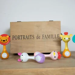 Outlet Hochet Sons et Lumières Lion Hochet