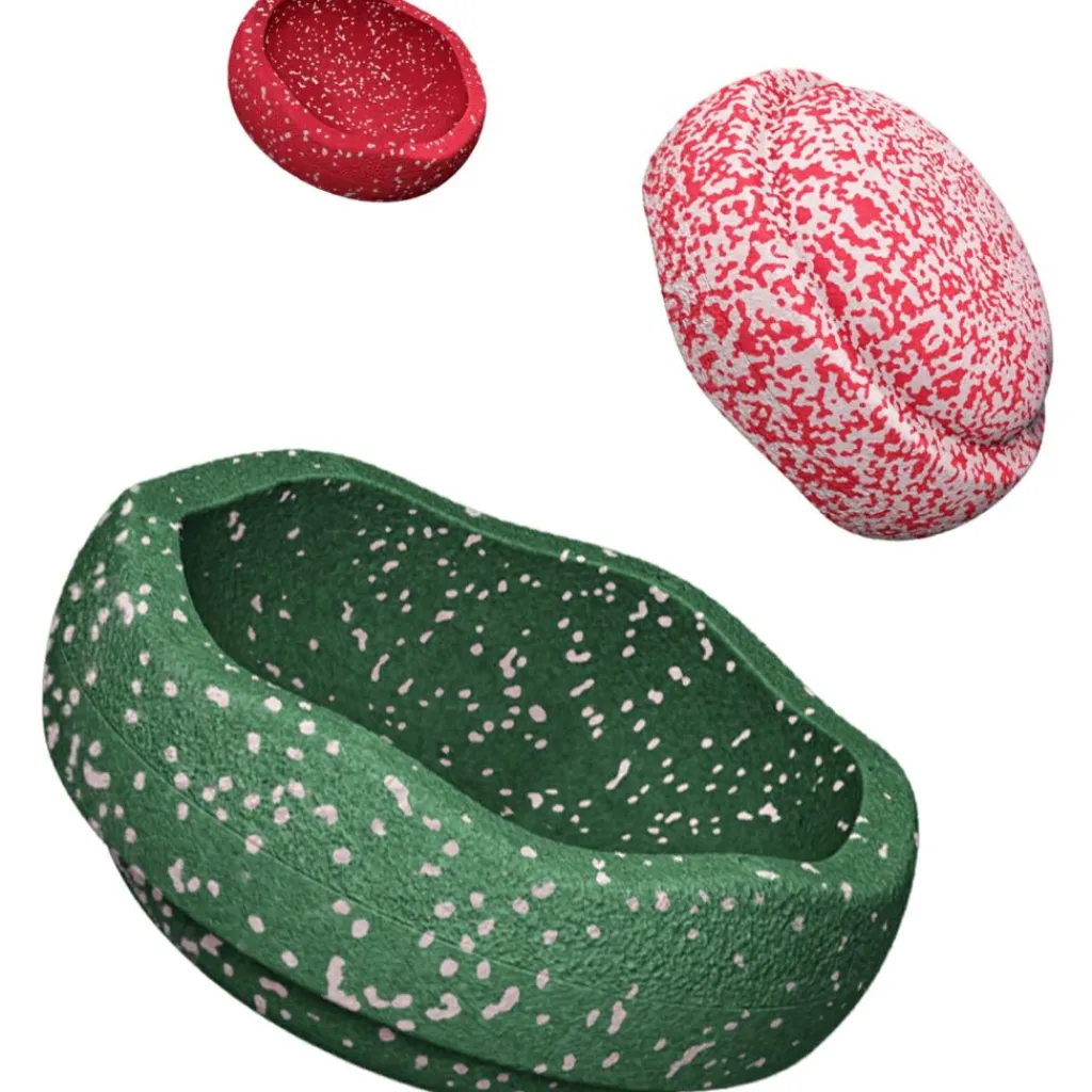 Jeu de motricité Blush Special Trilogy Set Parcours De Motricité