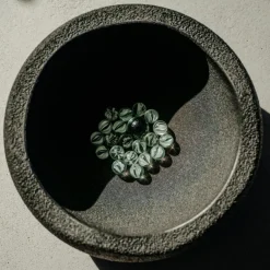 Outlet Jeu de motricité Original black Parcours De Motricité