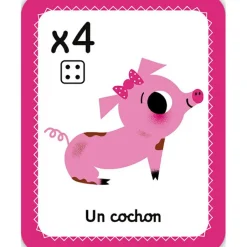 Jeu de société Cherche et trouve les couleurs Jeu De Société