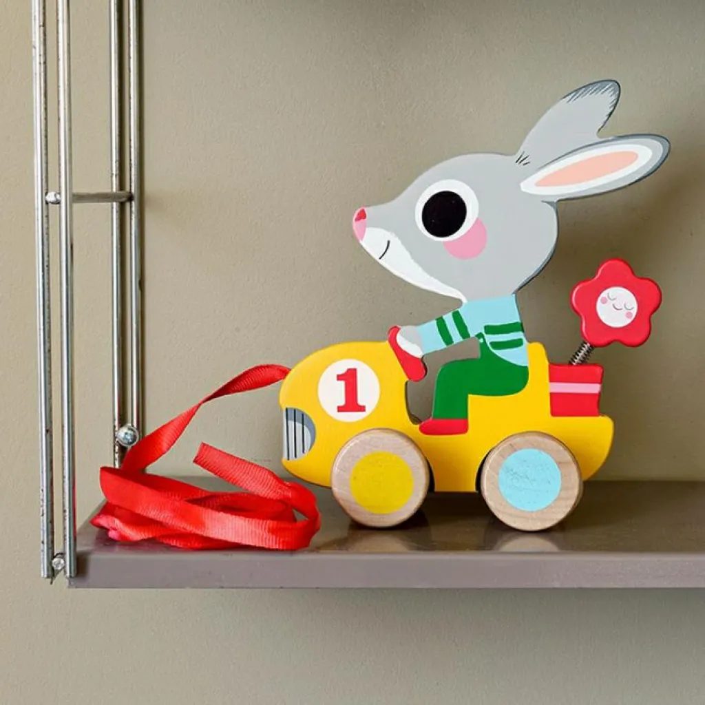 Jouet à tirer Roulapic Jouet À Tirer / Pousser