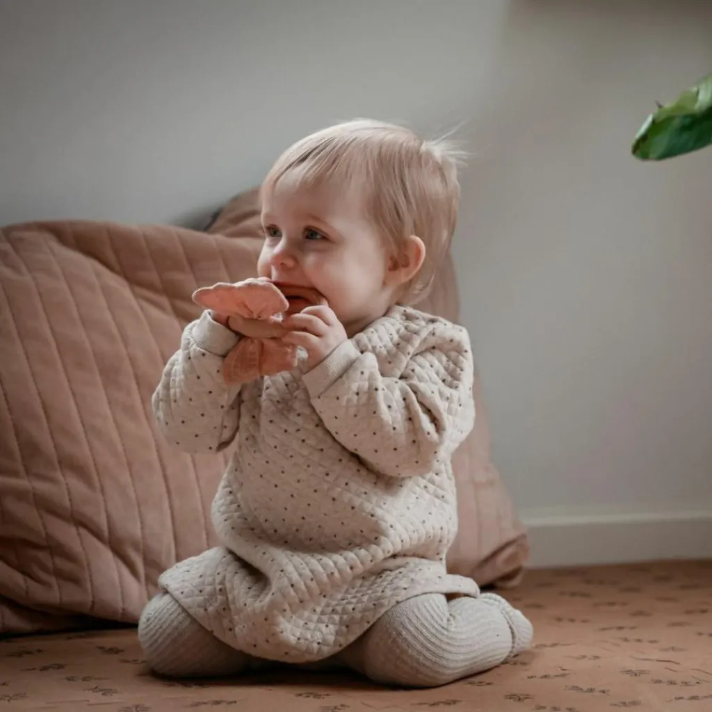 Online Jouet de dentition Butterfly Jouet / Anneau De Dentition