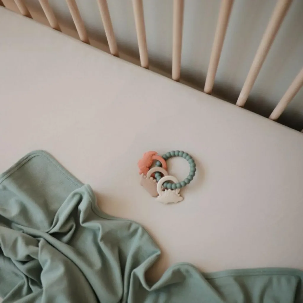 Best Jouet de dentition Ring Dino Jouet / Anneau De Dentition