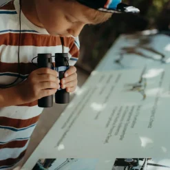 Best Jumelles KIDYBINOCULARS Jeu D'Observation