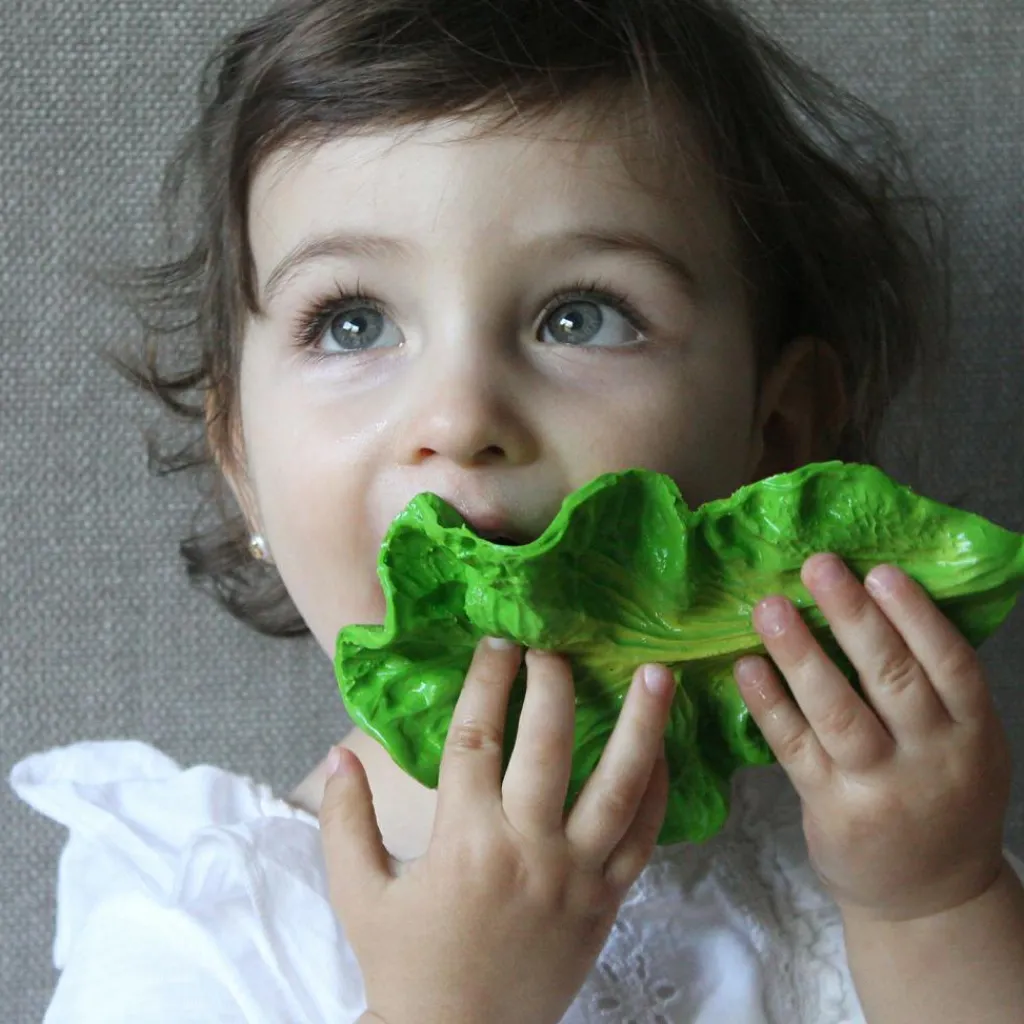 Online Kendall la feuille de chou en latex d'hévéa Jouet / Anneau De Dentition