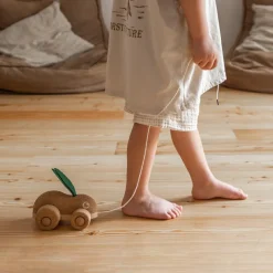 Lapin à tirer en liège Jouet À Tirer / Pousser