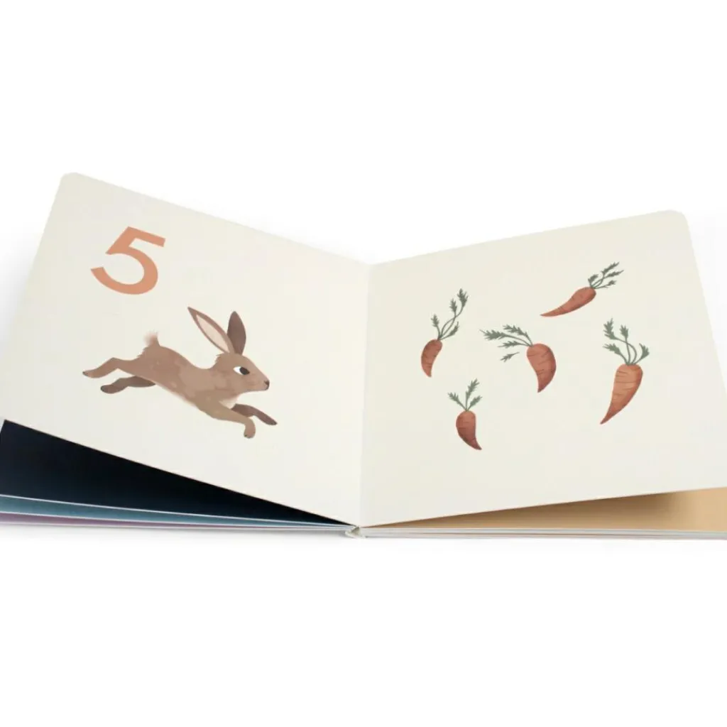 Livre bébé Compter jusqu'à 10 Premiers Livres