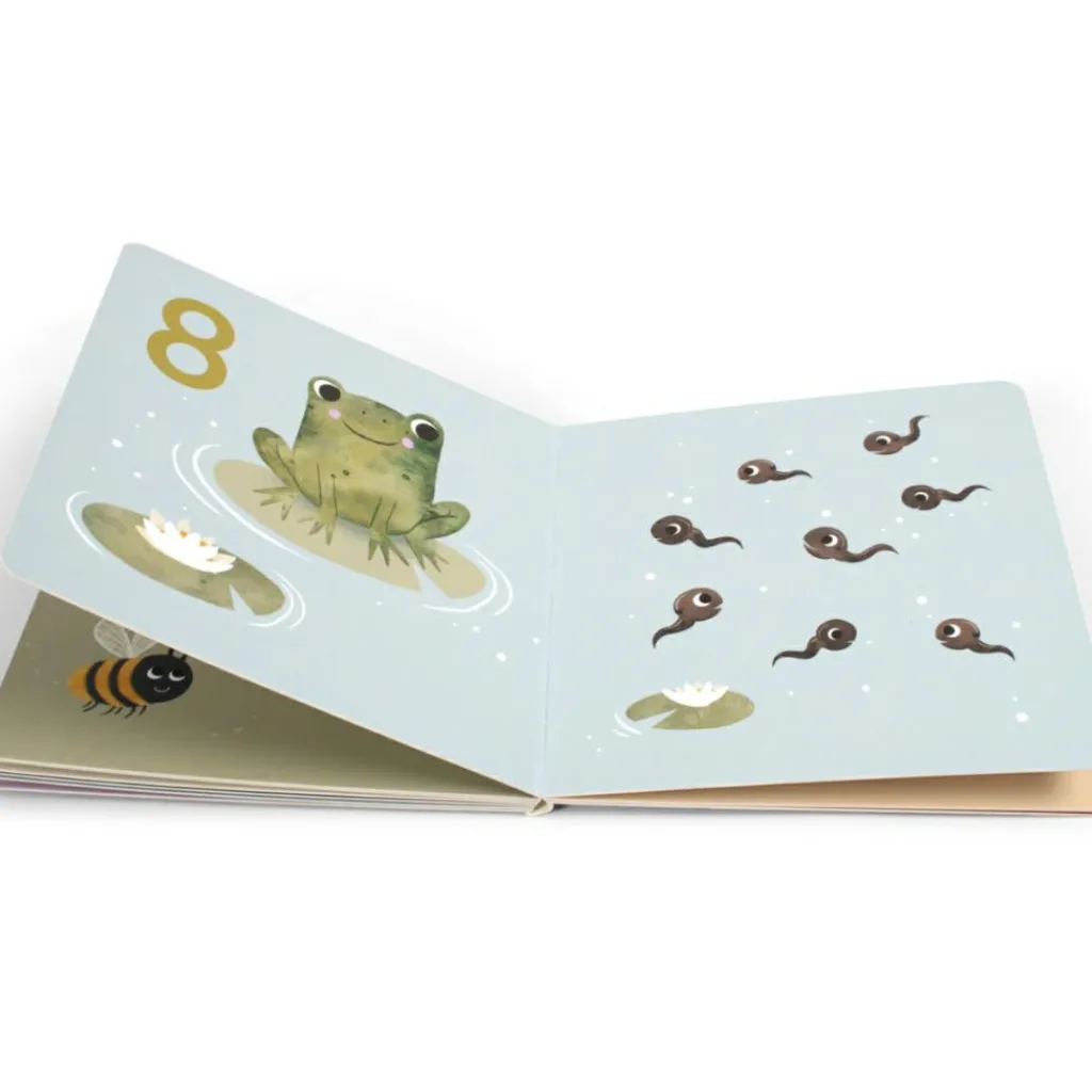 Livre bébé Compter jusqu'à 10 Premiers Livres